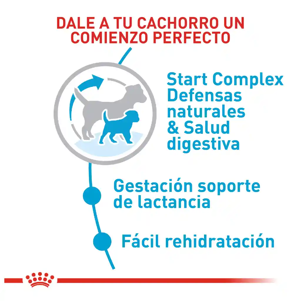 Royal Canin Alimento para Perro Pequeño Starter Mother & Babydog