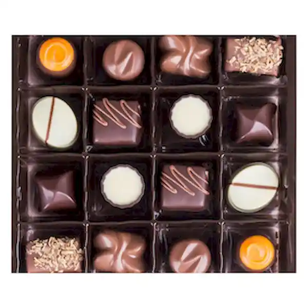 Gudrun Chocolate Belga Selecto