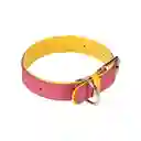 Collar Ecocuero Mascota Rosa Amarillo Talla S Diseño 0001