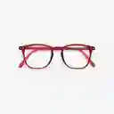 Izipizi Gafas Reading E Rojo Rosy +3.0