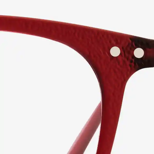 Izipizi Gafas Reading E Rojo Rosy +2.0