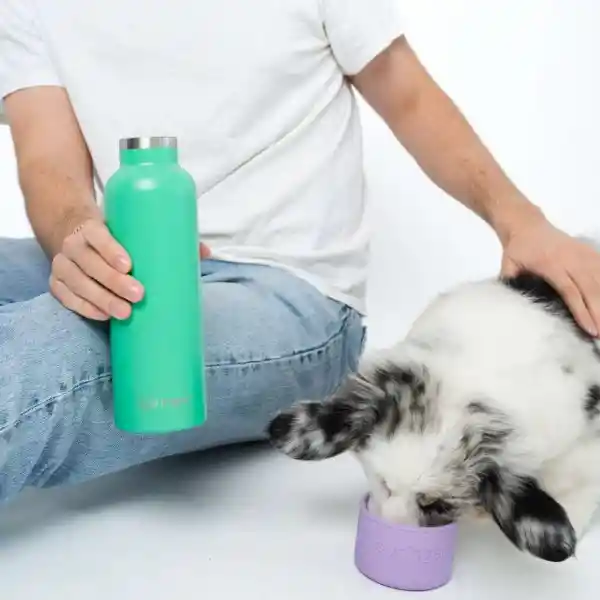 Springer Botella Mascotas Dog&Me Verde/Morado