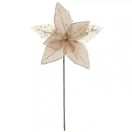 Flor Ponsetia Champana 8P 37 cm 831-Amx006-2418N Finlandek