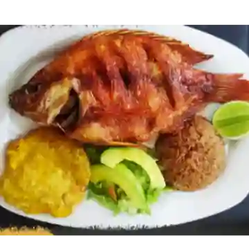 Tilapia Frita
