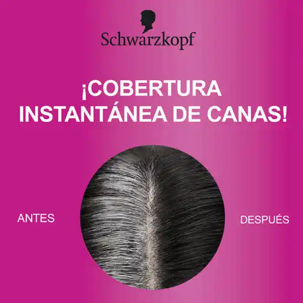 Spray Retoca Raices Root Retoucher Castaño