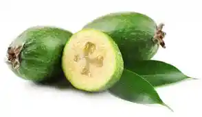 Guayaba Feijoa