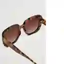 Gafas de Sol Rose Chocolate Mujer Mango