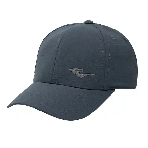 Gorra Econ V Gris Everlast