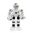 X-Smart Robot Steel Bot