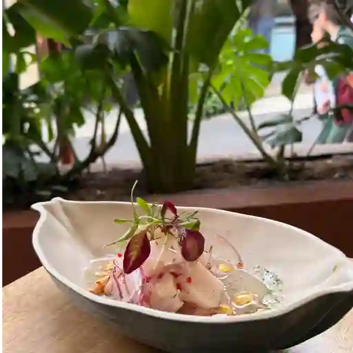 Ceviche de bote