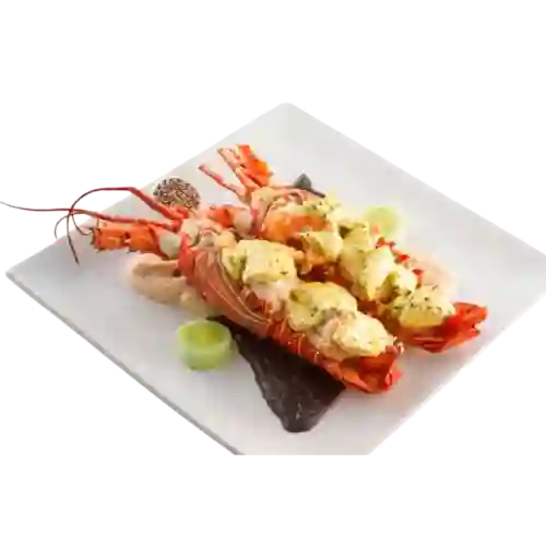 Langosta Shenlong