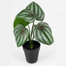 Expressions Planta Artificial 26 cm 718-01089