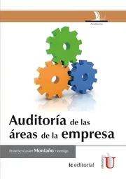 Auditoría de Las Áreas de la Empresa