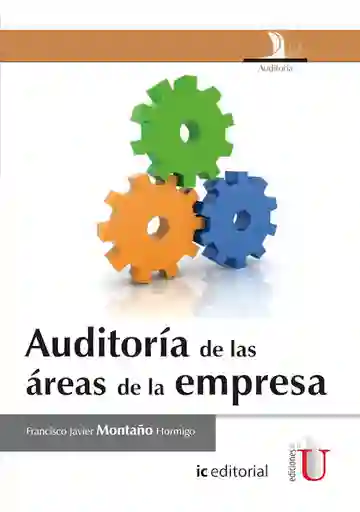 Auditoría de Las Áreas de la Empresa