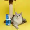 LuloPet Training Protector Cat y Kitten para Gatos - 250 ml