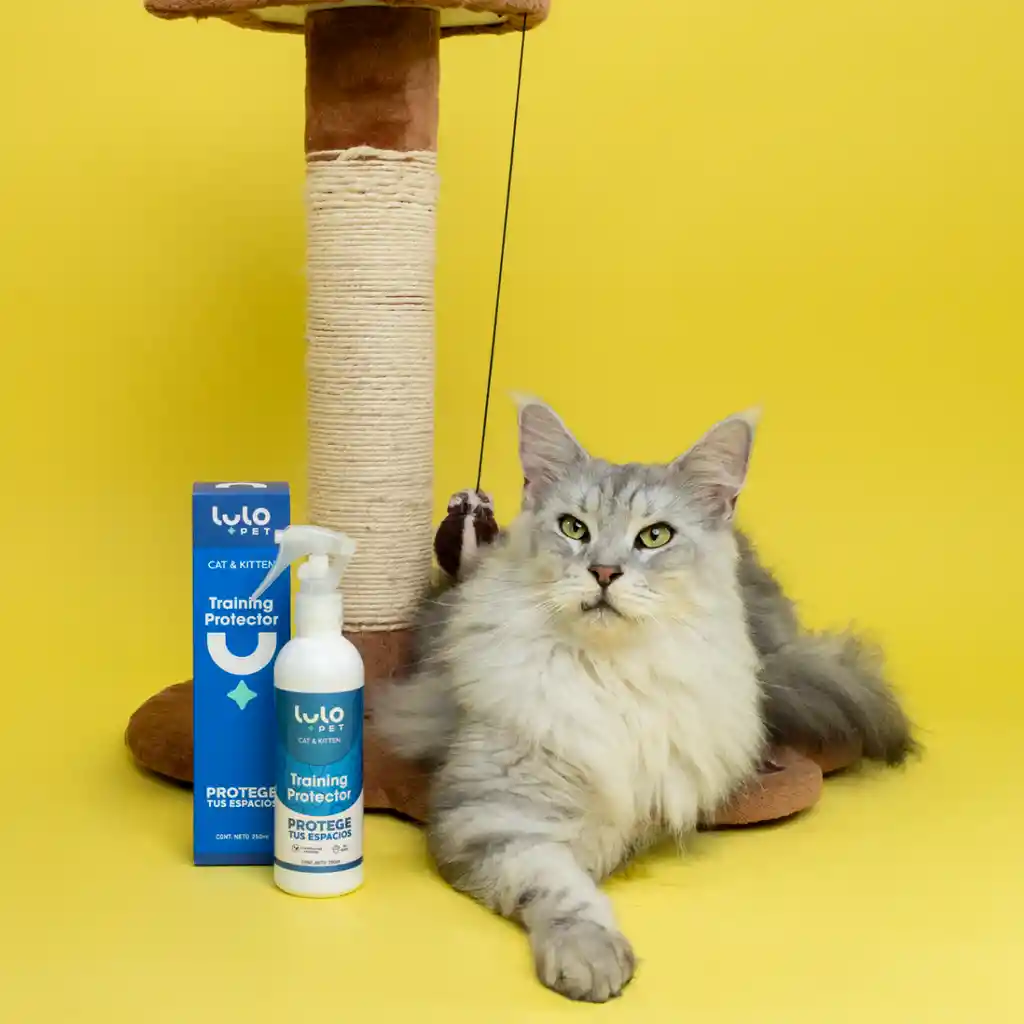 LuloPet Training Protector Cat y Kitten para Gatos - 250 ml