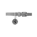 Collar Para Mascotas Dije Redondo Serie Silver Gray Miniso
