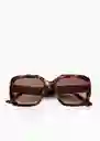 Gafas de Sol Tania Chocolate Talla 99 Mujer Mango