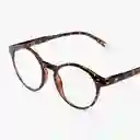 Barner Gafas Reading Marais Carey + 3.00