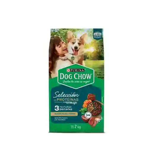 Dog Chow Alimento Seco Para Perro Adulto Cordero