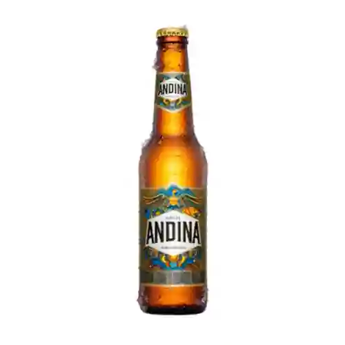 Cerveza Andina 300ml