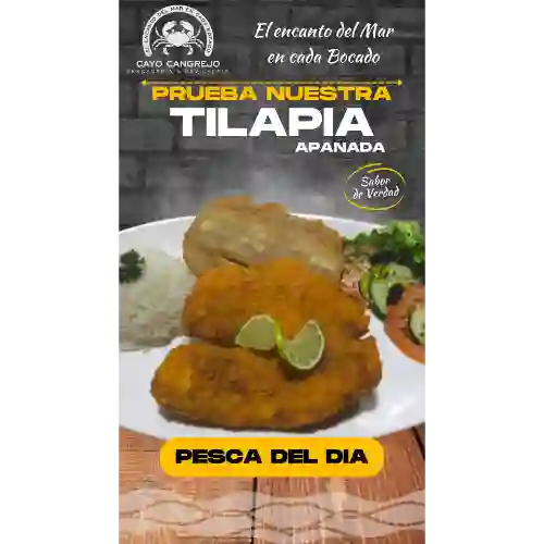 Filete Tilapia Pesca Del Dia