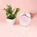 Reloj Despertador de Doble Campana Rosa Miniso