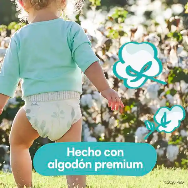 Pampers Pure Protection Pañales Talla 3