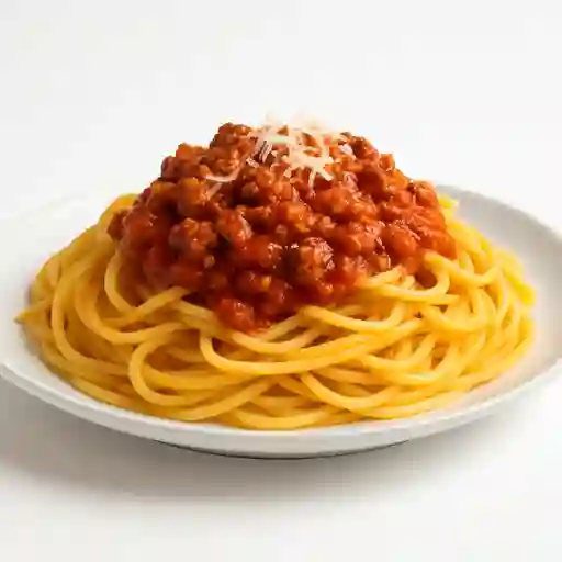 Bolognesa