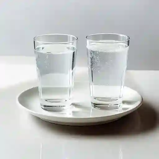 Agua Con Y Sin Gas