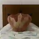 Almohada Forma de Garra Serie Jurassic World 16In Miniso