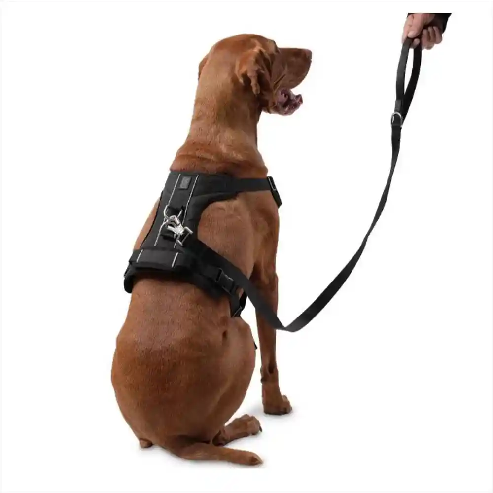 Totto Pets Arnés de Caminata Pechera Heikul Negro XL