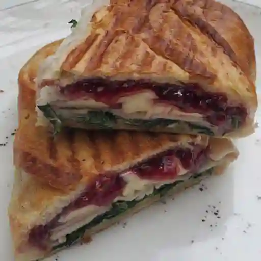SELEC SAND PAVO BRIE FRUTOS ROJO