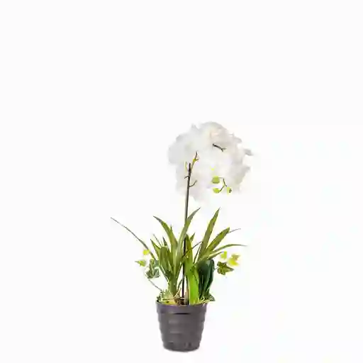 Ambiente Gourmet Flor Orquidea en Maceta 80 cm