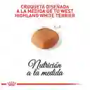 Royal Canin Alimento para Perro West Highland White Terrier 