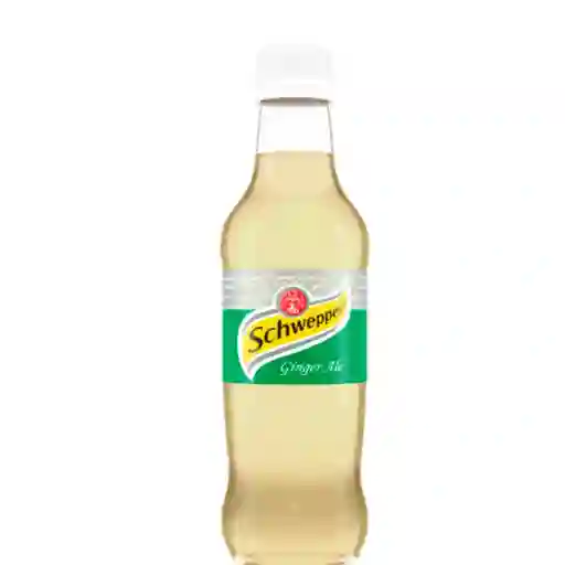 Ginger Ale - 355 ml