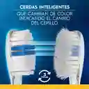 Cepillo de Dientes Oral-B Clean Indicator Medio 2 Unidades