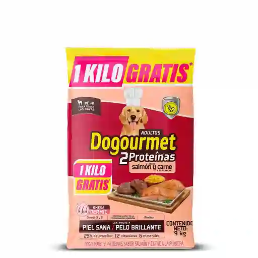 Dogourmet Comida Salmón Para Perro