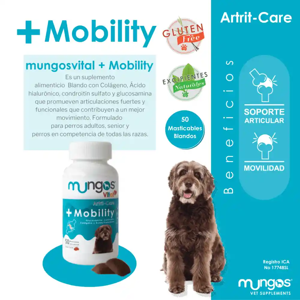 Mungos Alimento para Perro Vital y Mobility