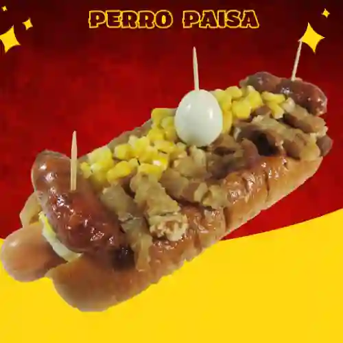 Perro Paisa