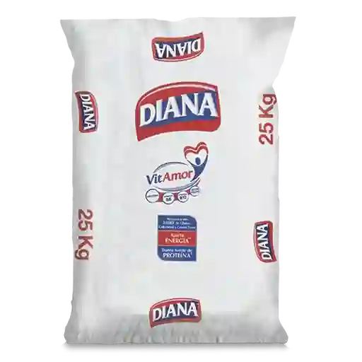 Diana Arroz Blanco