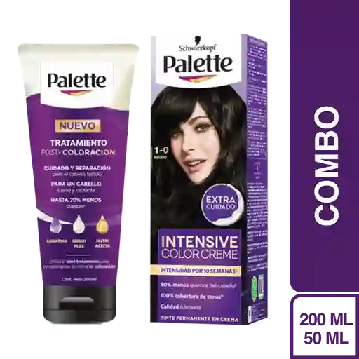 Combo Tinte Palette Creme Negro 1-0 + Tratamiento Post Color