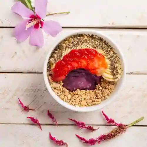 Summer Bowl 12Oz