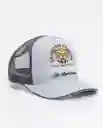 Gorra Legend Gris Raton Medio Talla M Uni Sex Chevignon