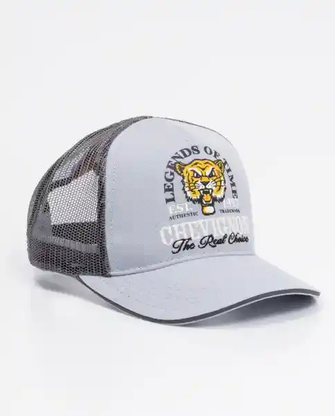 Gorra Legend Gris Raton Medio Talla M Uni Sex Chevignon