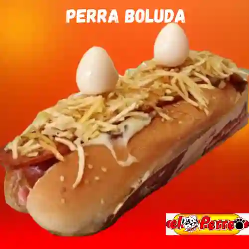 Perra Boluda