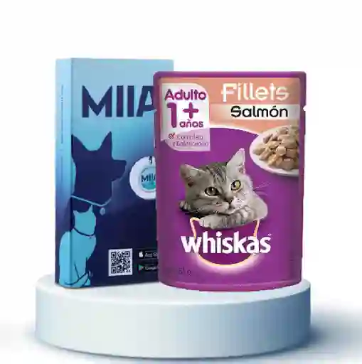 Combo Alimento Whiskas Pouch Salmon 85 g + Miia