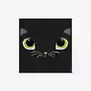 Inkanta Paño Para Gafas Gato