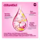 Sedal Shampoo Ceramidas