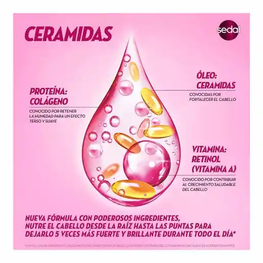 Sedal Shampoo Ceramidas